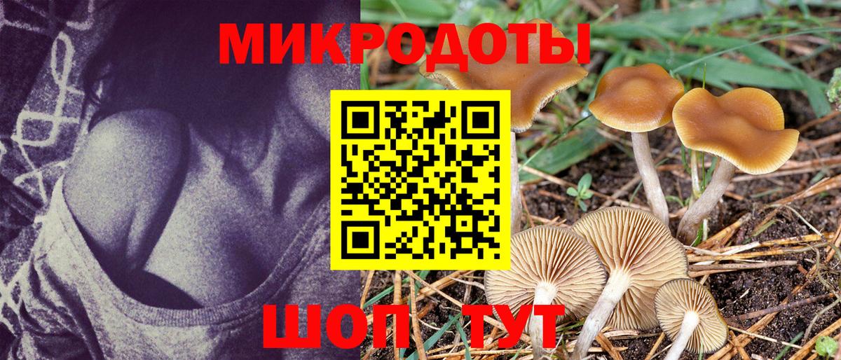 Сыктывкар  Галлюциногенные грибы Psilocybine cubensis  Галлюциногенные грибы мицелий  Вход с VPN 